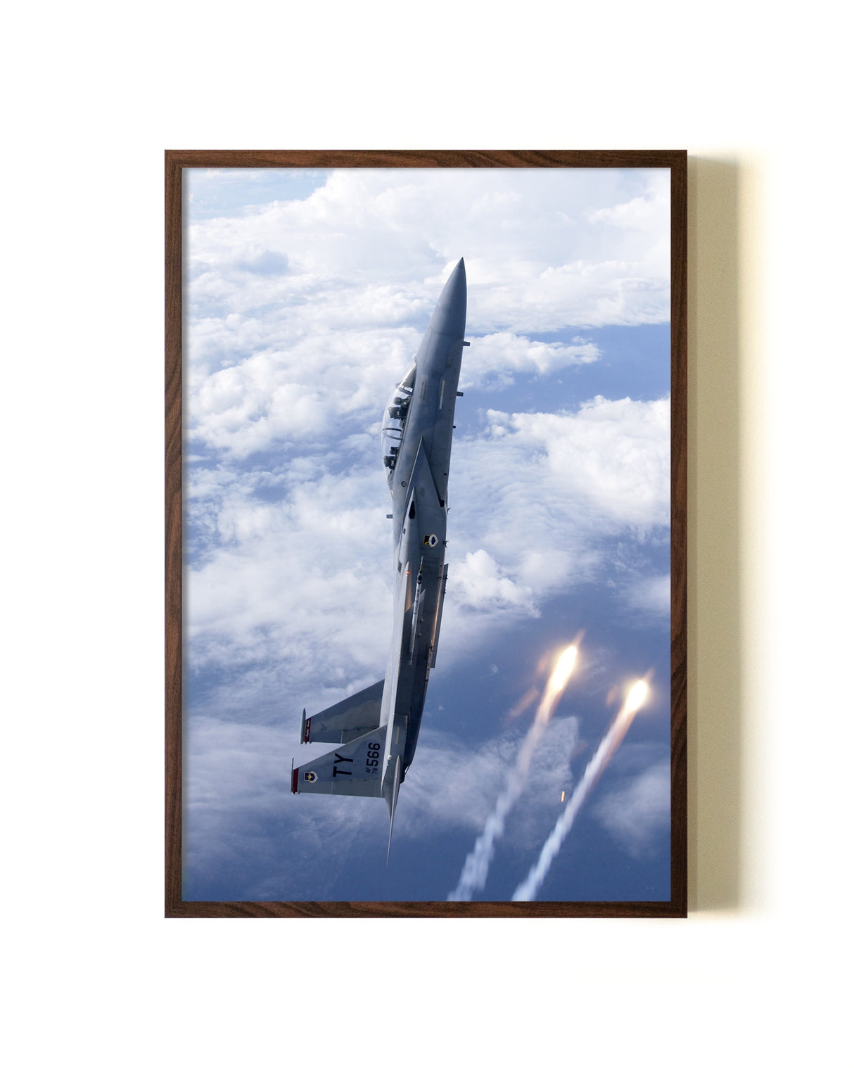 Thunderbird in the Sky Test Listing