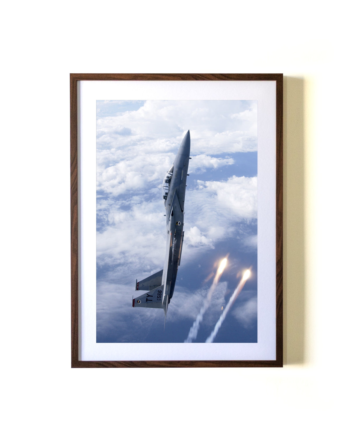 Thunderbird in the Sky Test Listing