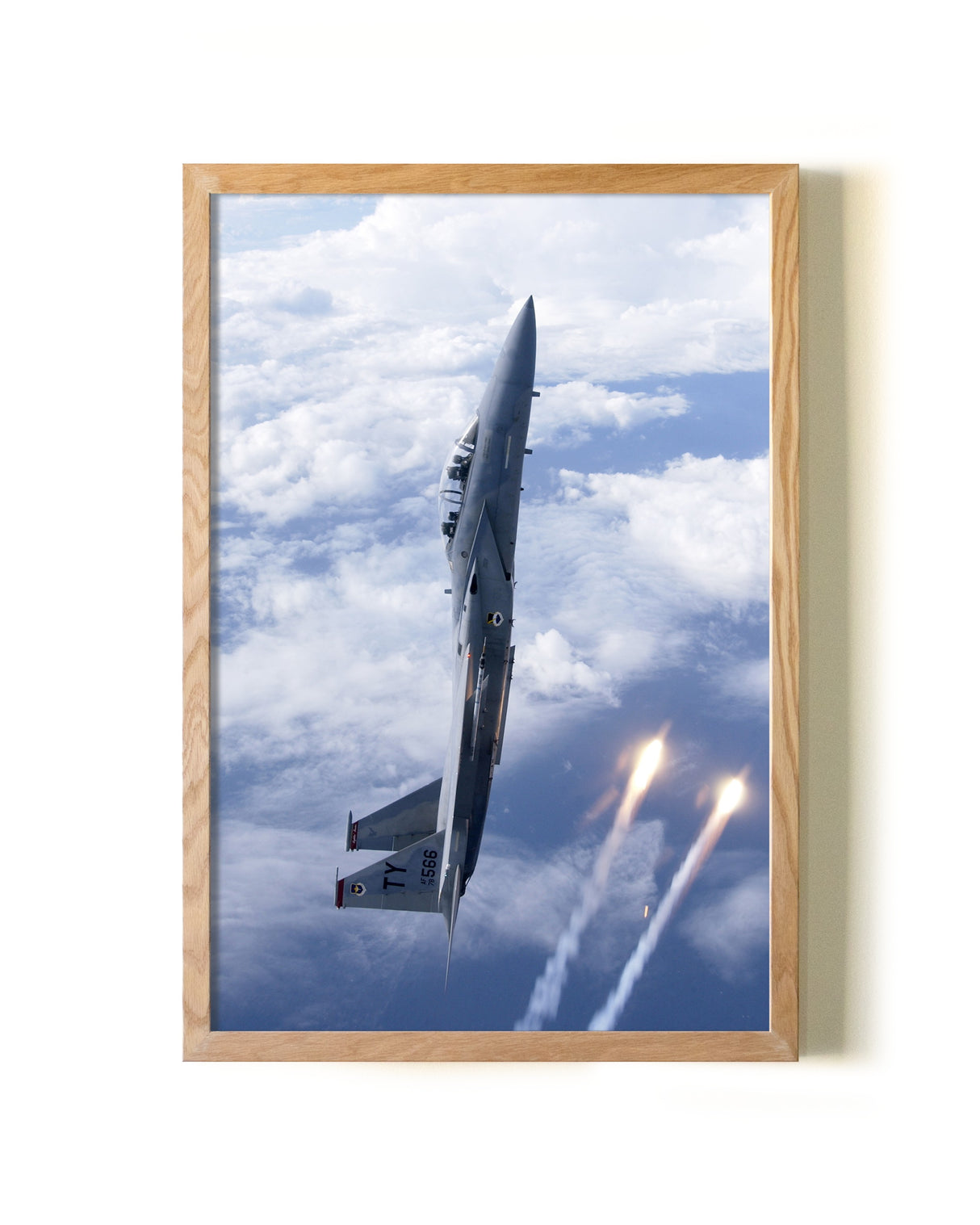 Thunderbird in the Sky Test Listing