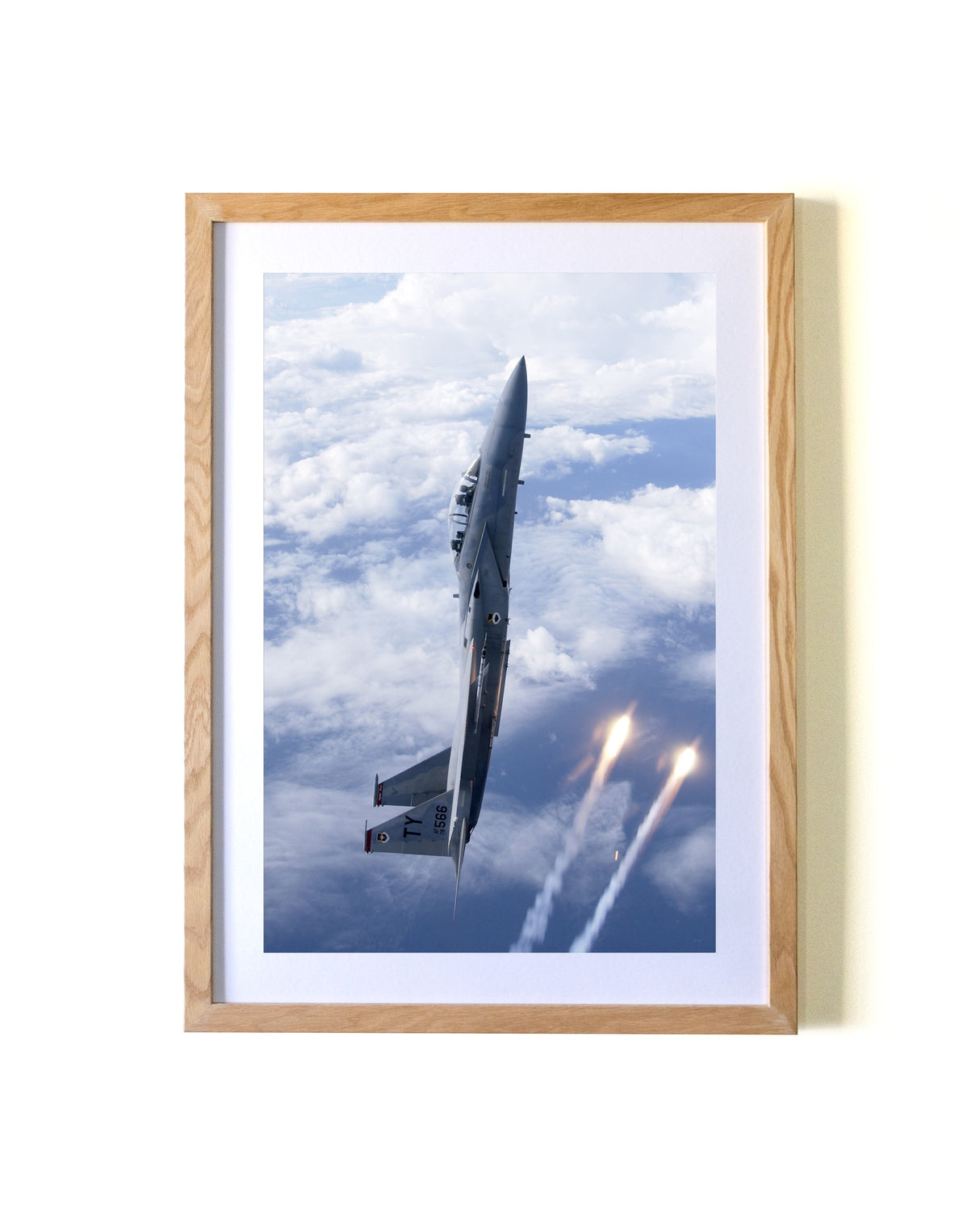 Thunderbird in the Sky Test Listing