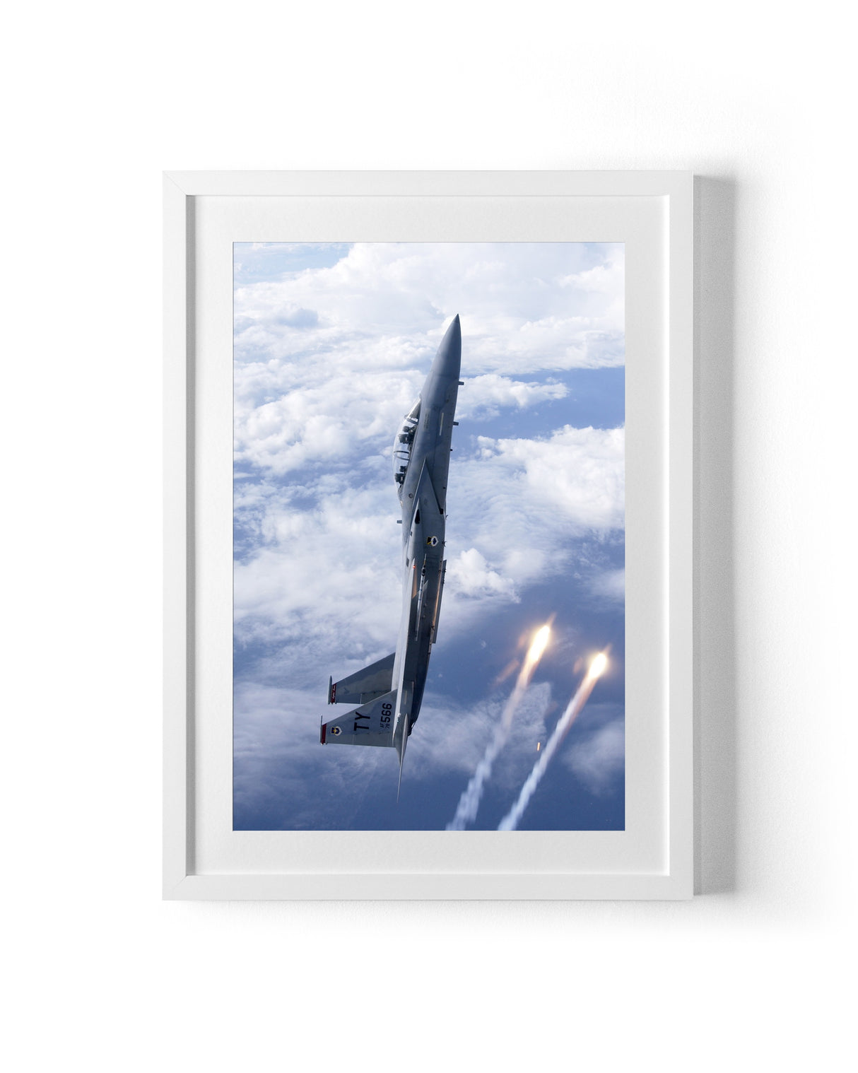 Thunderbird in the Sky Test Listing