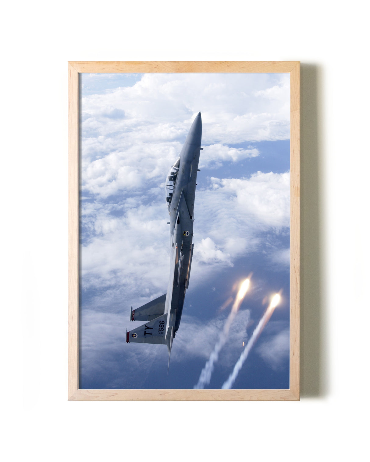 Thunderbird in the Sky Test Listing