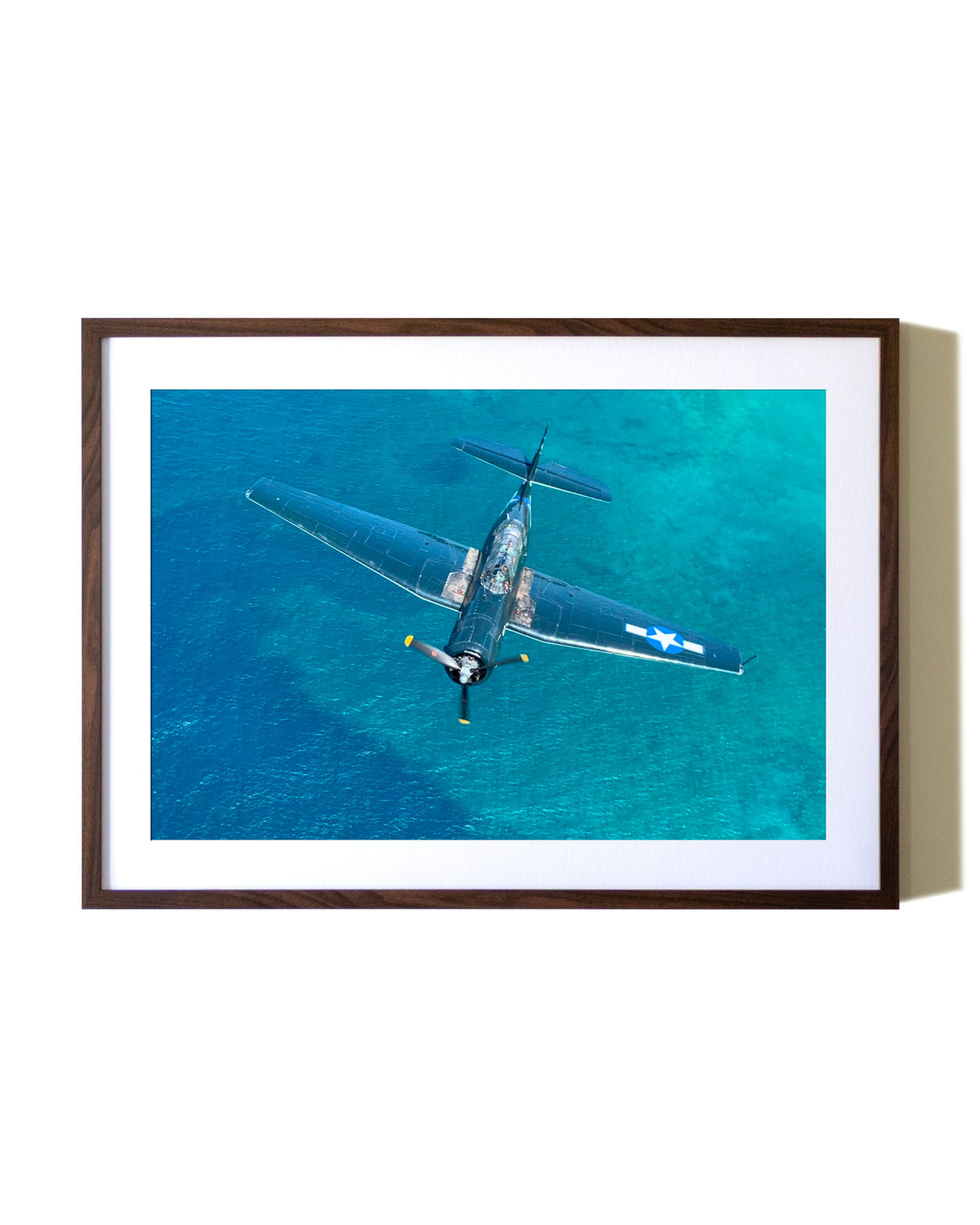 A World War II Era Warbird, Oahu Hawaii