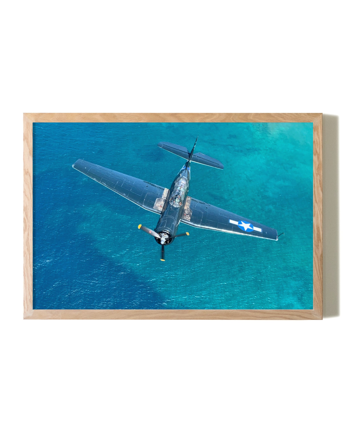 A World War II Era Warbird, Oahu Hawaii