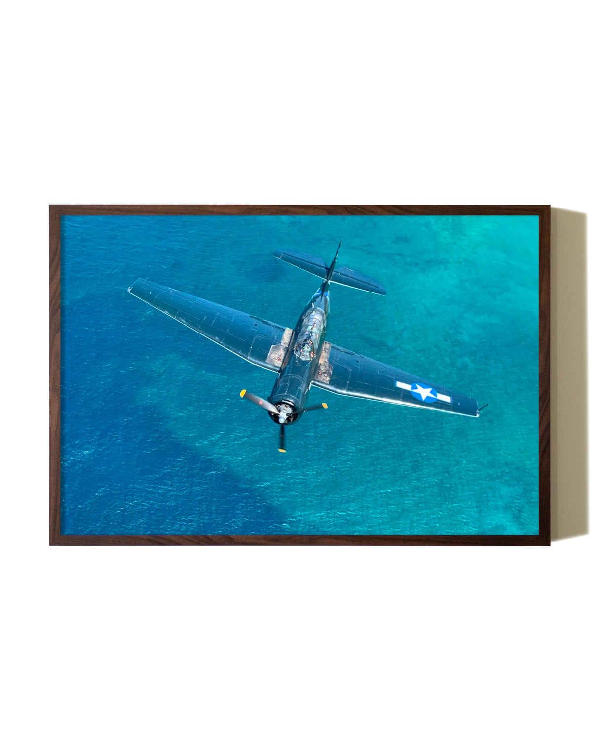 A World War II Era Warbird, Oahu Hawaii